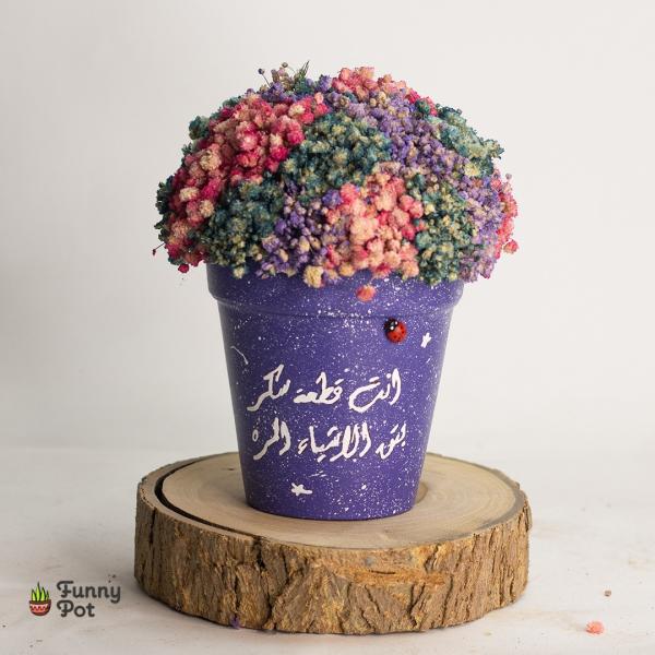 Baby flower pot