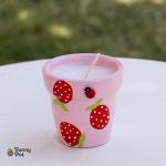 بوت شمع معطر