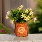 بوت جزع شجر طبيعي