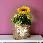 بوت جزع شجر طبيعي