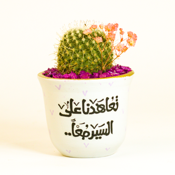 صبار في بوت ملون