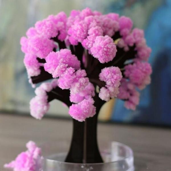 الشجره السحريه