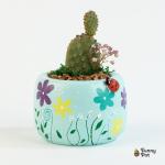 صبار في بوت ملون