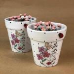 كريزي فلاور