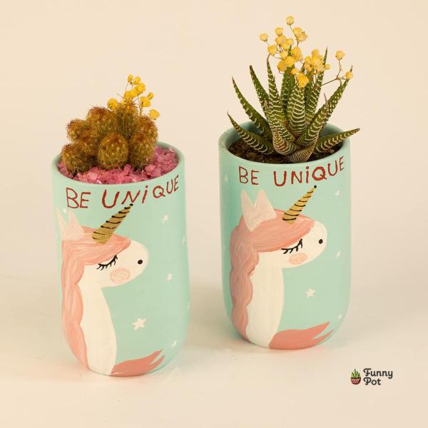 صبار في بوت يوني كورن