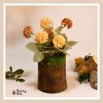 بوت جزع شجر طبيعي