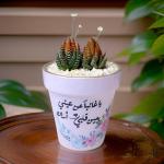 صبار في بوت ملون