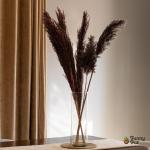 بامبوس مجفف