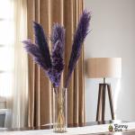 بامبوس مجفف