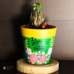 بوت بالصبار الطبيعي