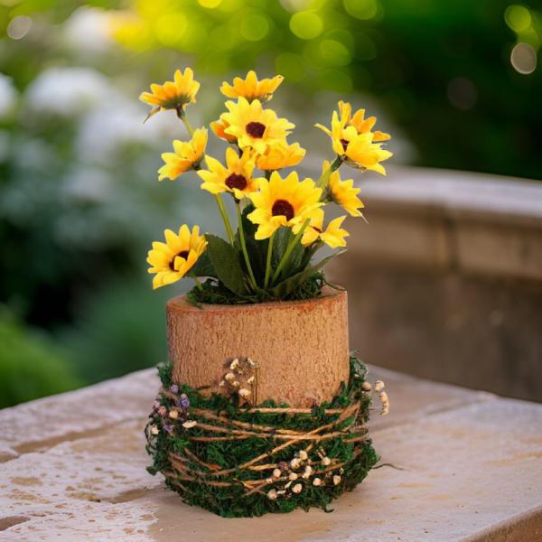 بوت جزع شجر طبيعي