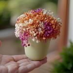 بوت بيبي فلاور