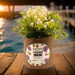 بوت جزع شجر طبيعي