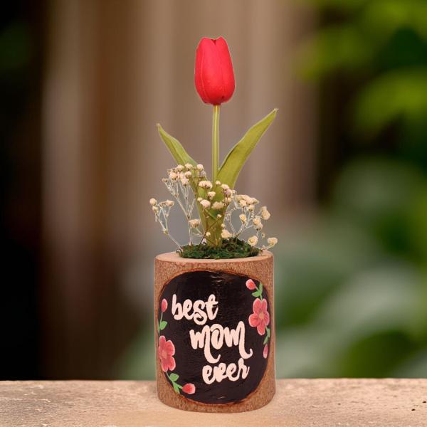 بوت جزع شجر طبيعي