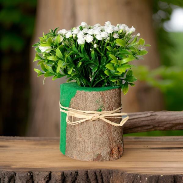 بوت جزع شجر طبيعي