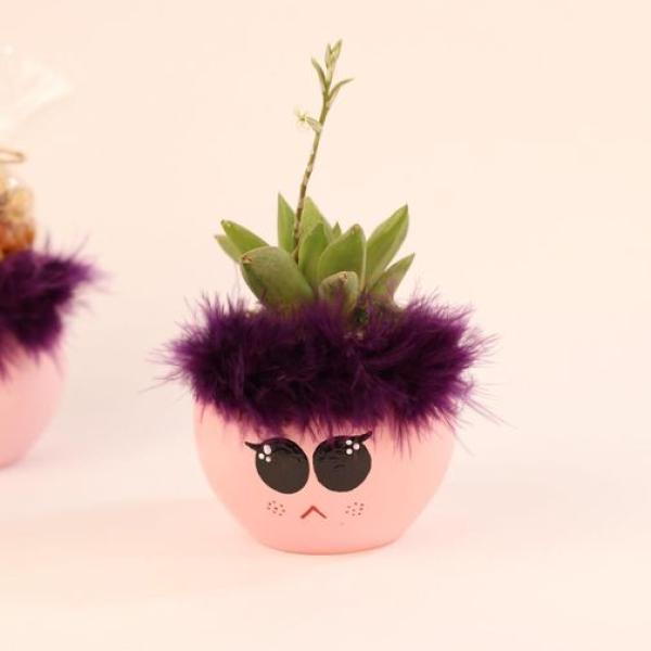 صبار في بوت ملون