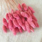 فلارس مجففه