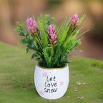 بوت نبات صناعي