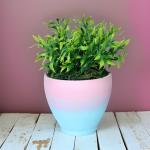 بوت نبات صناعي