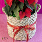 نبات بنت القنصل طبيعي