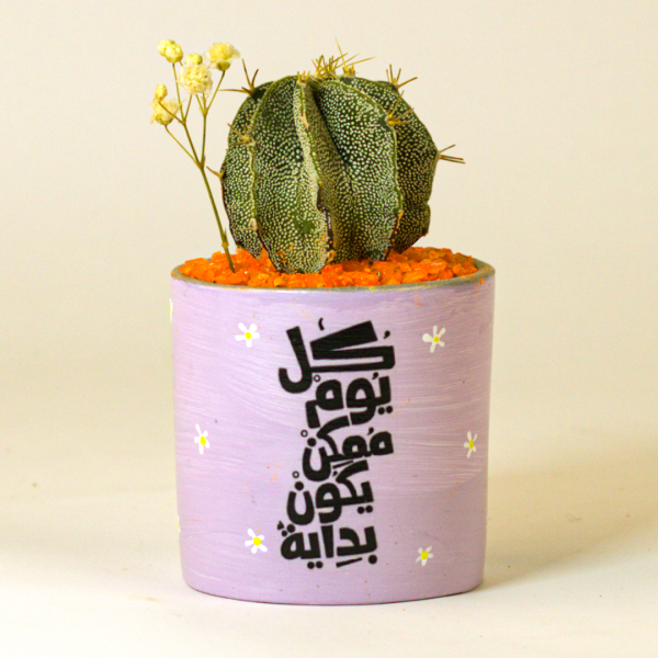 صبار في بوت ملون