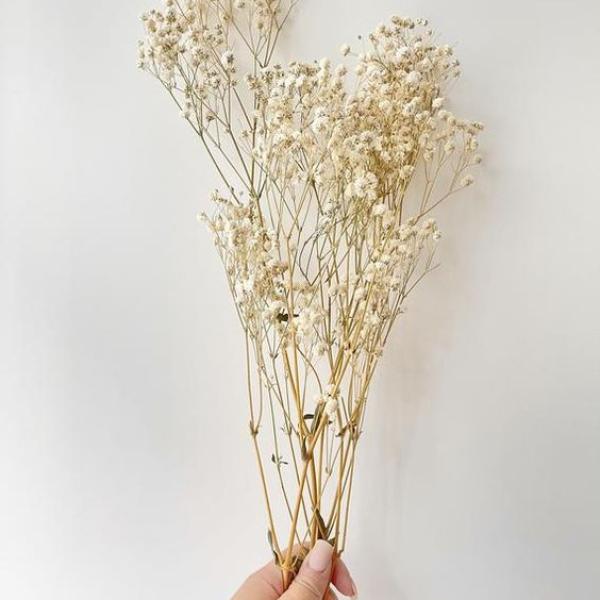 بيبي فلاور (معالج)