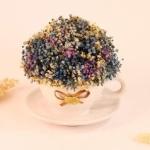 بوت بيبي فلاور