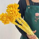 فلارس مجففه