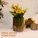 بوت جزع شجر طبيعي