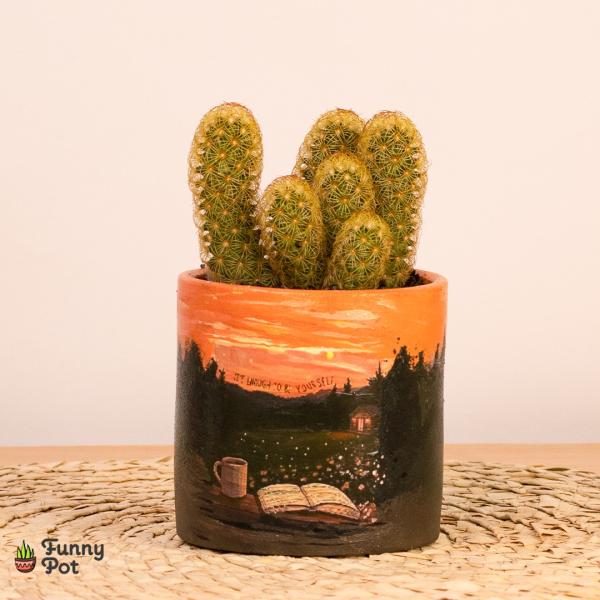 بوت بالصبار الطبيعي