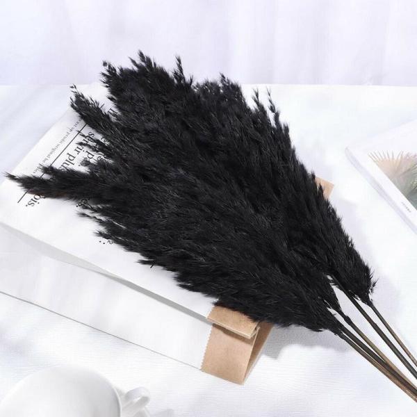 بامبوس مجفف