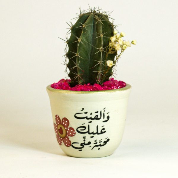 صبار في بوت ملون