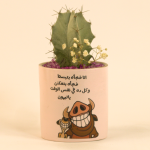 صبار في بوت ملون