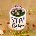 كريزي فلاور