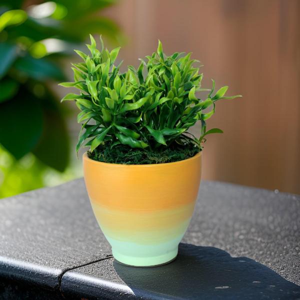 بوت نبات صناعي