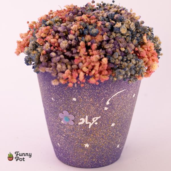 بوت بيبي فلاور