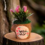 بوت جزع شجر طبيعي