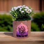 بوت جزع شجر طبيعي