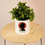 بوت نبات صناعي