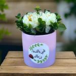 بوت نبات صناعي