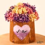 بوت جزع شجر  بيبي فلاور