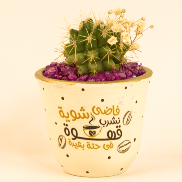 صبار في بوت ملون