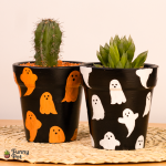 بوت بالصبار الطبيعي