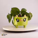 بوت بالبوتس الطبيعي