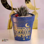 بوت نبات طبيعي