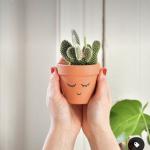 صبار في بوت ملون