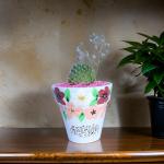 صبار في بوت ملون