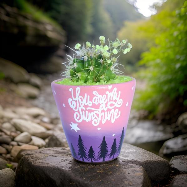 صبار في بوت ملون