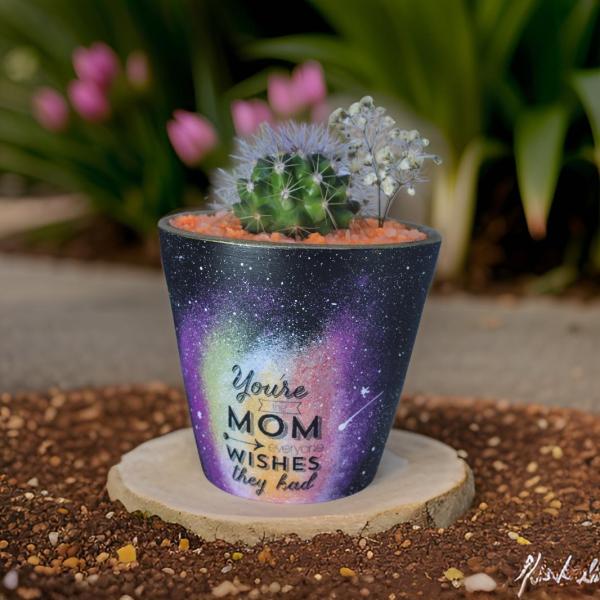 صبار في بوت ملون