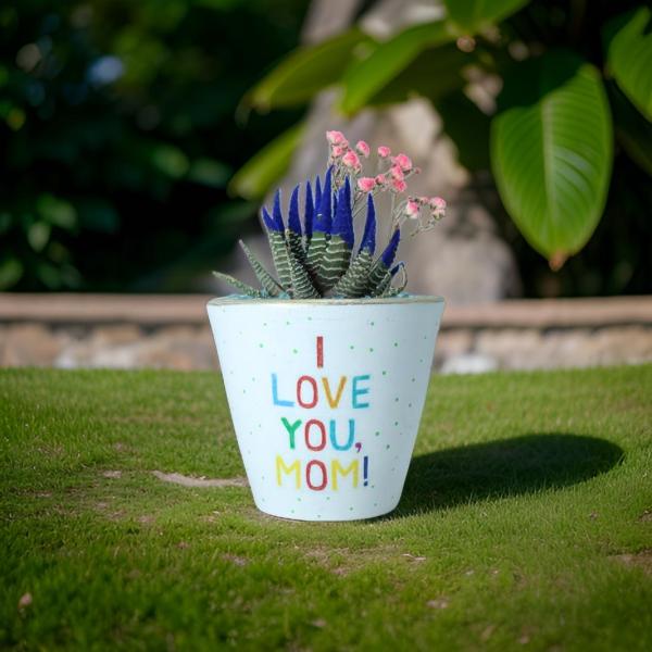 صبار في بوت ملون